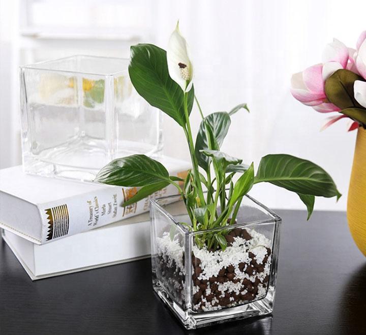 Square Glass Cube Vase & Candle Holder